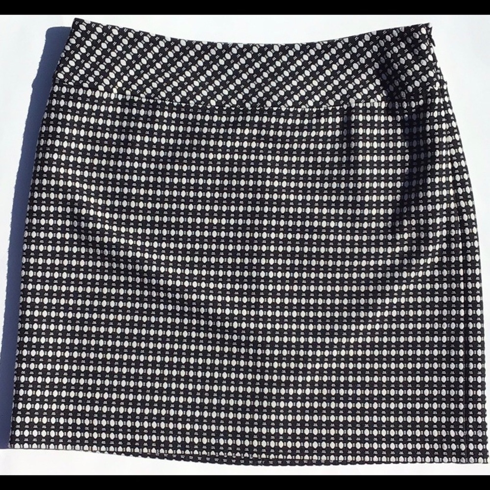 Ann Taylor Loft Skirt